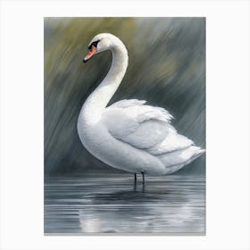 Swan Standing By The Lakeshore Canvas Print