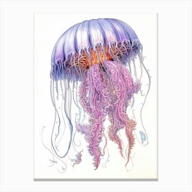 Sea Nettle Jellyfish Cartoon 1 Canvas Print