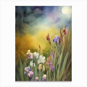Night Landscape With Irises Canvas Print