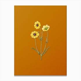 Vintage Perennial Dyer's Coreopsis Flower Botanical on Sunset Orange n.0874 Canvas Print