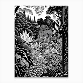 Birmingham Botanical Gardens, 1, Usa Linocut Black And White Vintage Canvas Print