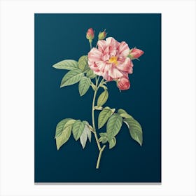 Vintage French Rosebush with Variegated Flowers Botanical Art on Teal Blue n.0780 Canvas Print