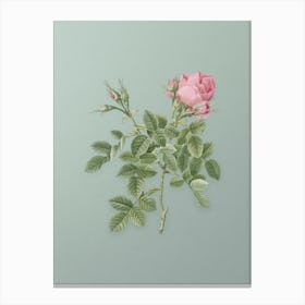 Vintage Dwarf Damask Rose Botanical Art on Mint Green Canvas Print