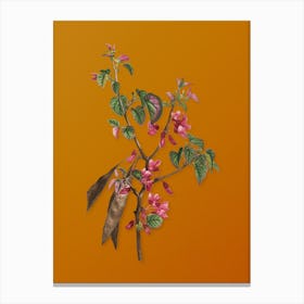 Vintage Judas Tree Botanical on Sunset Orange n.0366 Canvas Print