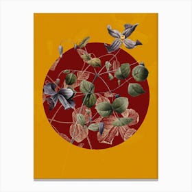 Vintage Botanical Virgin's Bower Clematis Viticella on Circle Red on Yellow n.0287 Canvas Print