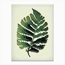 Maidenhair Fern Leaf Vintage Botanical Canvas Print