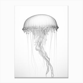Box Jellyfish Drawing 5 Canvas Print