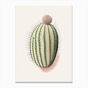 Pincushion Cactus Marker Art 1 Canvas Print
