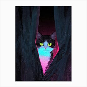 Cat Peeking Out Of Curtains 1 Canvas Print