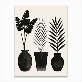 Three Potted Plants Canvas Print