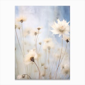 Boho Dried Flowers Nigella 3 Canvas Print