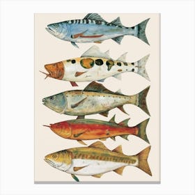 Fish Collection Poster wall art Canvas Print