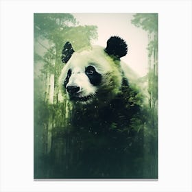 Panda Bear In The Forest Canvas Print