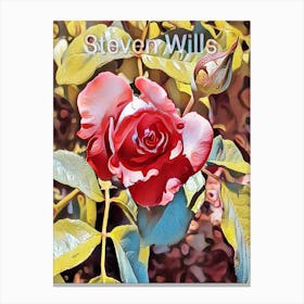 Roses By Steven Wills Canvas Print