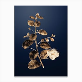 Gold Botanical Caper Plant on Midnight Navy n.3248 Canvas Print