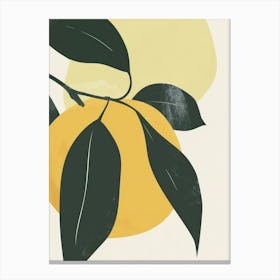 Apples Close Up Illustration 8 Canvas Print