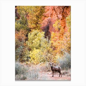 Wildlife With Autumn Leaves Canvas Print