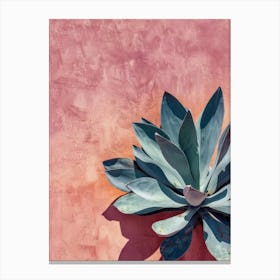 Agave Plant On A Pink Wall Canvas Print