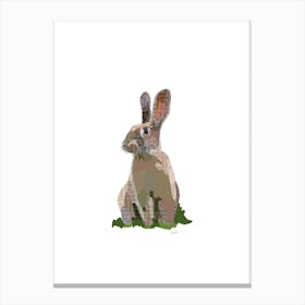 Bunny Moment Canvas Print