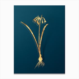Vintage Brandlelie Botanical in Gold on Teal Blue Canvas Print