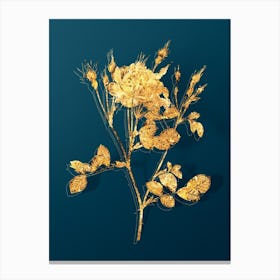 Vintage Anemone Flowered Sweetbriar Rose Botanical in Gold on Teal Blue n.0041 Canvas Print