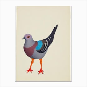 Pigeon Illustration Bird Canvas Print