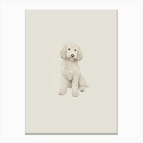 Poodle Puppy Canvas Print