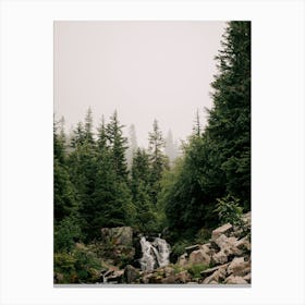 Baby Waterfall Canvas Print