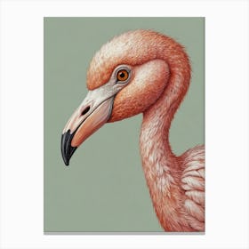 Flamingo 21 Canvas Print