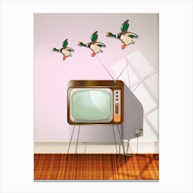 Flying porcelain birds and television. Canvas Print