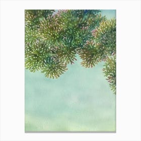 Acropora Pulchra Ii Storybook Watercolour Canvas Print