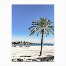 Palm Tree On The Beach Canvas Print