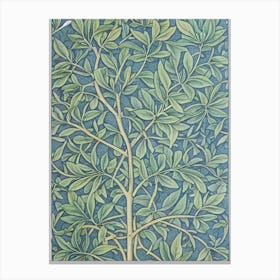 Olive tree Vintage 2 Botanical Canvas Print
