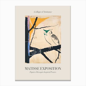 Owl 1 Matisse Inspired Exposition Animals Poster Canvas Print