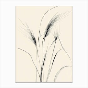 Grasses 2 Canvas Print