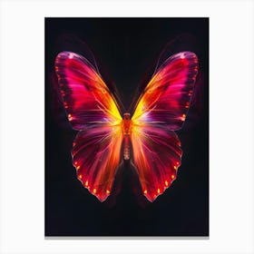 Abstract Butterfly On Black Background Canvas Print