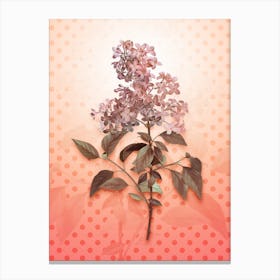Chinese Lilac Vintage Botanical in Peach Fuzz Polka Dot Pattern n.0054 Canvas Print