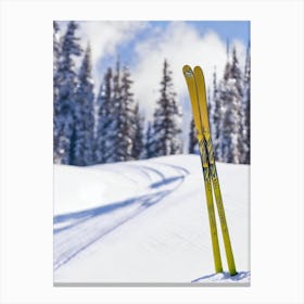 Telluride, Usa Glamour Ski Skiing Poster Canvas Print