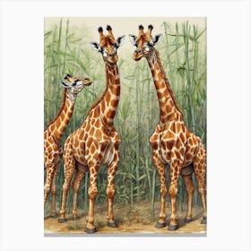 Giraffes 3 Canvas Print