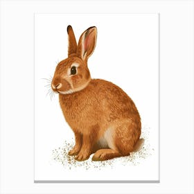 Cinnamon Rabbit Nursery Illustration 2 Canvas Print