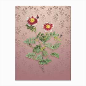Vintage Variegated Burnet Rose Botanical on Dusty Pink Pattern n.2445 Canvas Print