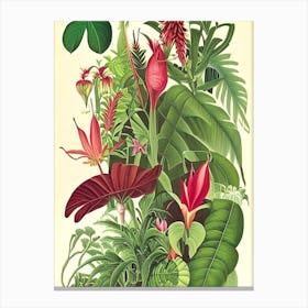 Jungle 6 Botanicals Canvas Print