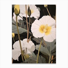 Flower Illustration Evening Primrose 3 Canvas Print