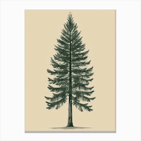 Pine Tree Minimalistic Drawing 4 Canvas Print