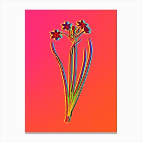 Neon Rush Daffodil Botanical in Hot Pink and Electric Blue n.0235 Canvas Print