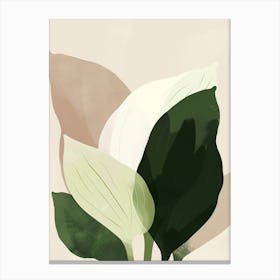 Hosta Plant Minimalist Illustration 2 Canvas Print