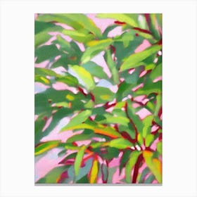 Schefflera Impressionist Painting Plant Canvas Print