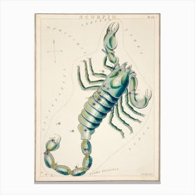 Scorpio, Sidney Hall Canvas Print