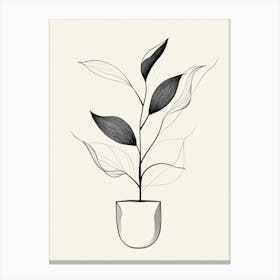 Plant In A Pot Canvas Print