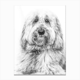 Black And White Dog Portrait 2 Canvas Print